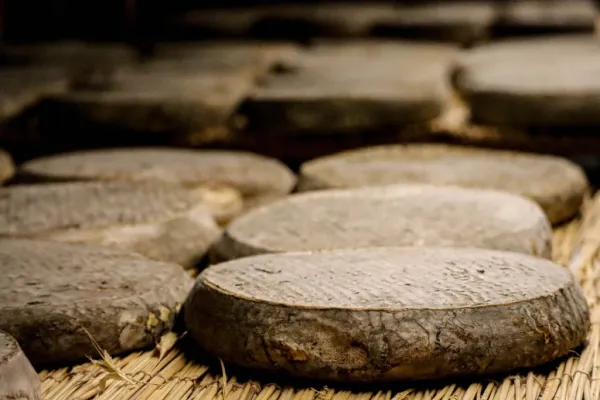 La Maison du Fromage, au cœur des traditions auvergnates