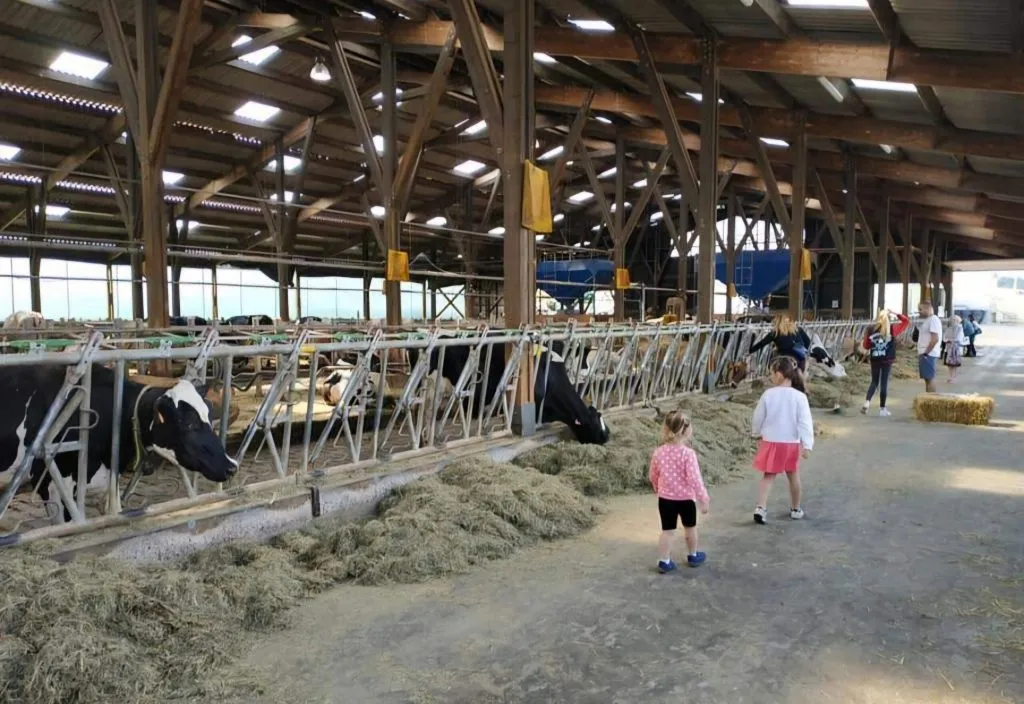 La Ferme du Clos, une immersion dans l'agriculture locale