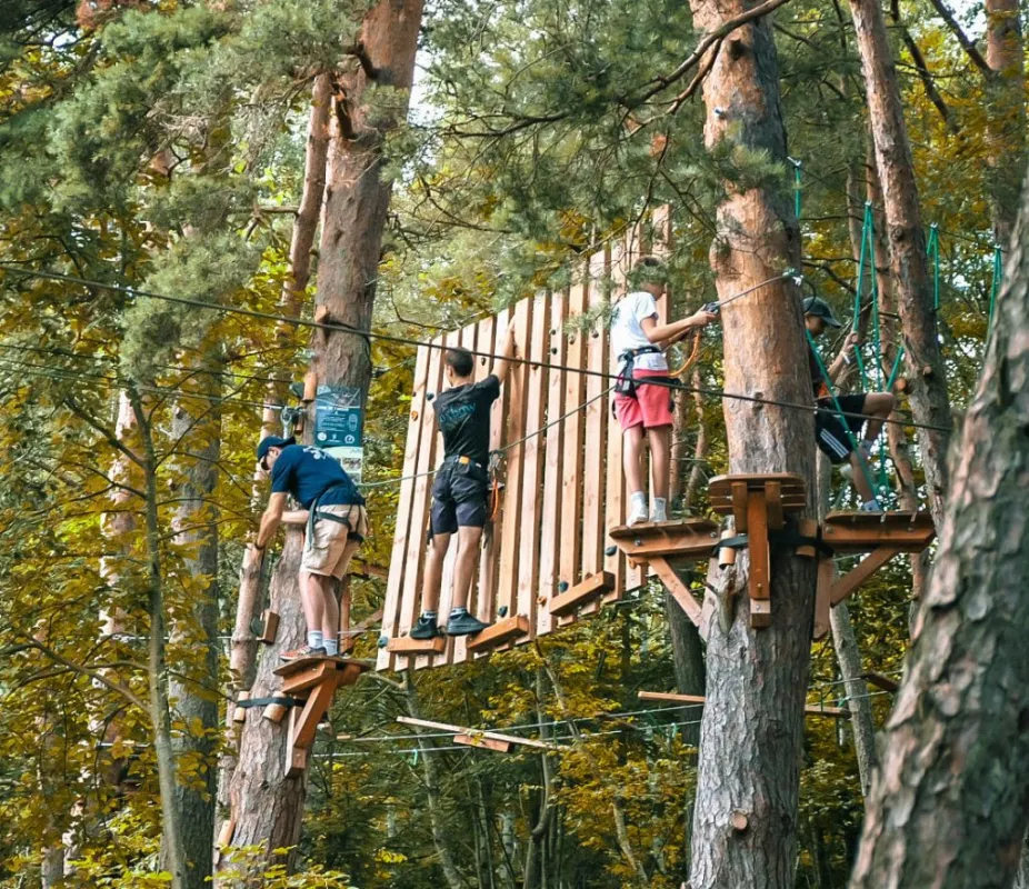 Alti Parc, l'accrobranche au cœur de la nature auvergnate