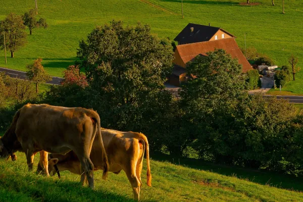 Les fermes auberges, l'authenticité au cœur de l'Auvergne