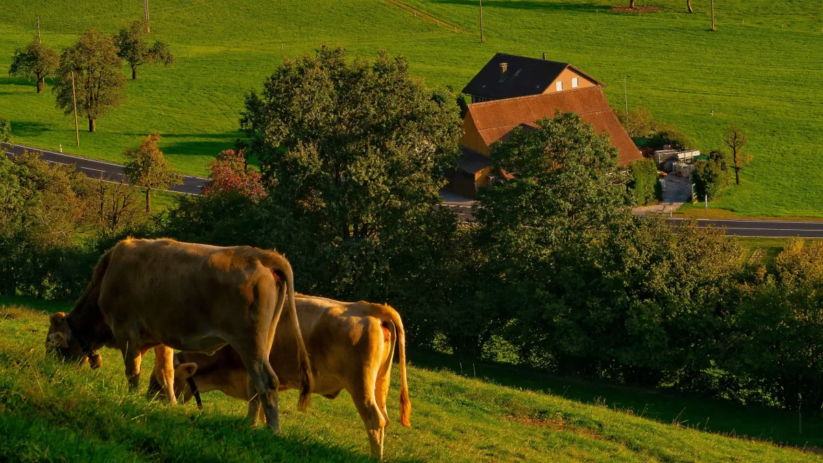 Les fermes auberges, l'authenticité au cœur de l'Auvergne