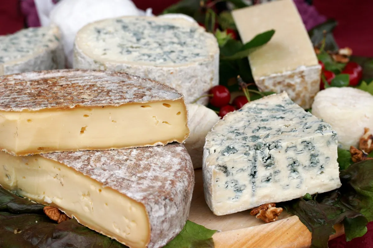 Dégustez les fromages d'Auvergne, une expérience incontournable