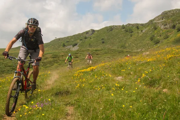 Vacances en Auvergne : une destination idéale toute l'année